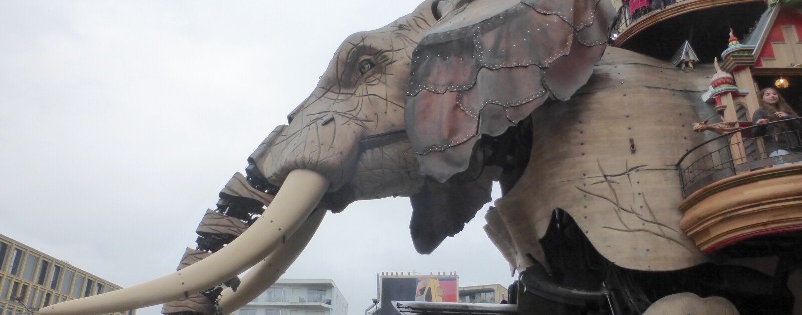Grand Éléphant des Machines de l'île photographié à Nantes en octobre 2025, image d'archive, MHM55, CC BY-SA 4.0