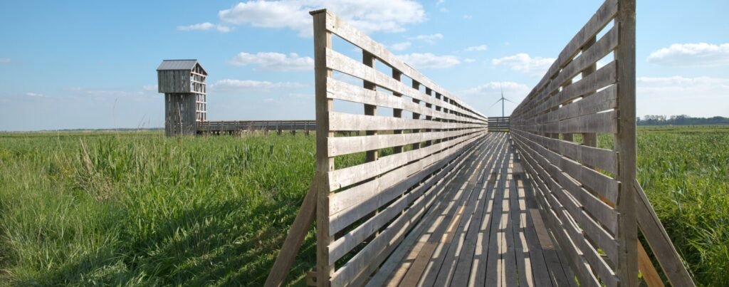Passerelle de Lavau-sur-Loire : 1,94 M€ pour reconstruire, l’avenir du parcours Estuaire en question
