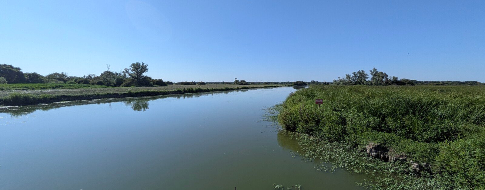 Marais de Goulaine au Pont de l'Ouen, milieu naturel du Loroux-Bottereau photographié en juillet 2026