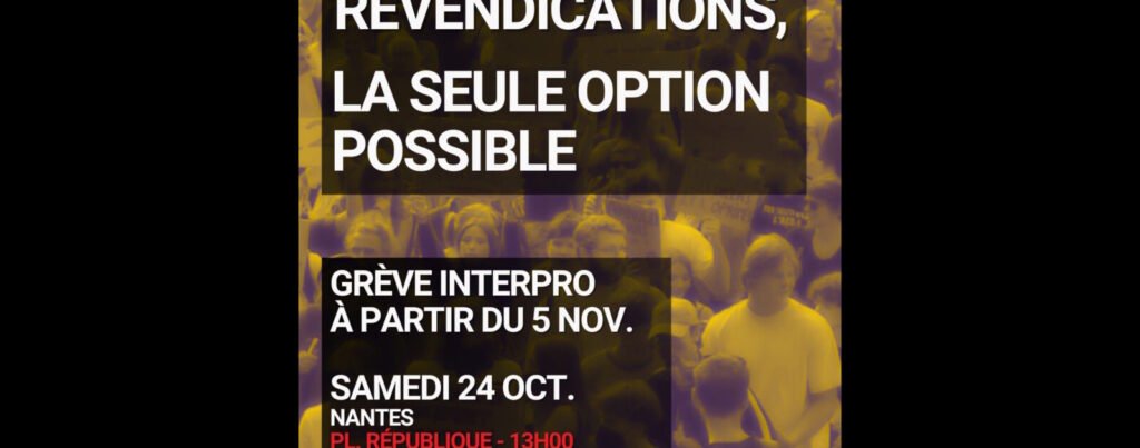 Manifestations du 24 octobre : 75 interpellations à Nantes et deux à Saint-Nazaire