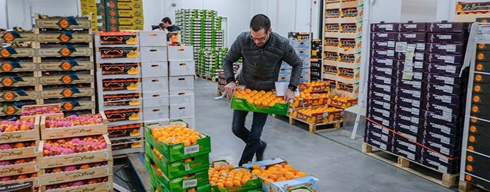Un professionnel prépare des caisses de fruits dans le Marché d'intérêt national Nantes Métropole, à Rezé, photo Nantes Métropole