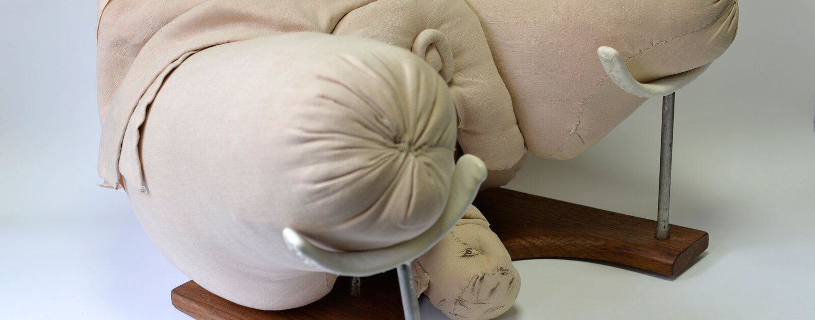 Mannequin pédagogique d’accouchement inspiré de celui d’Angélique du Coudray, évoqué dans l’exposition Naître à Nantes