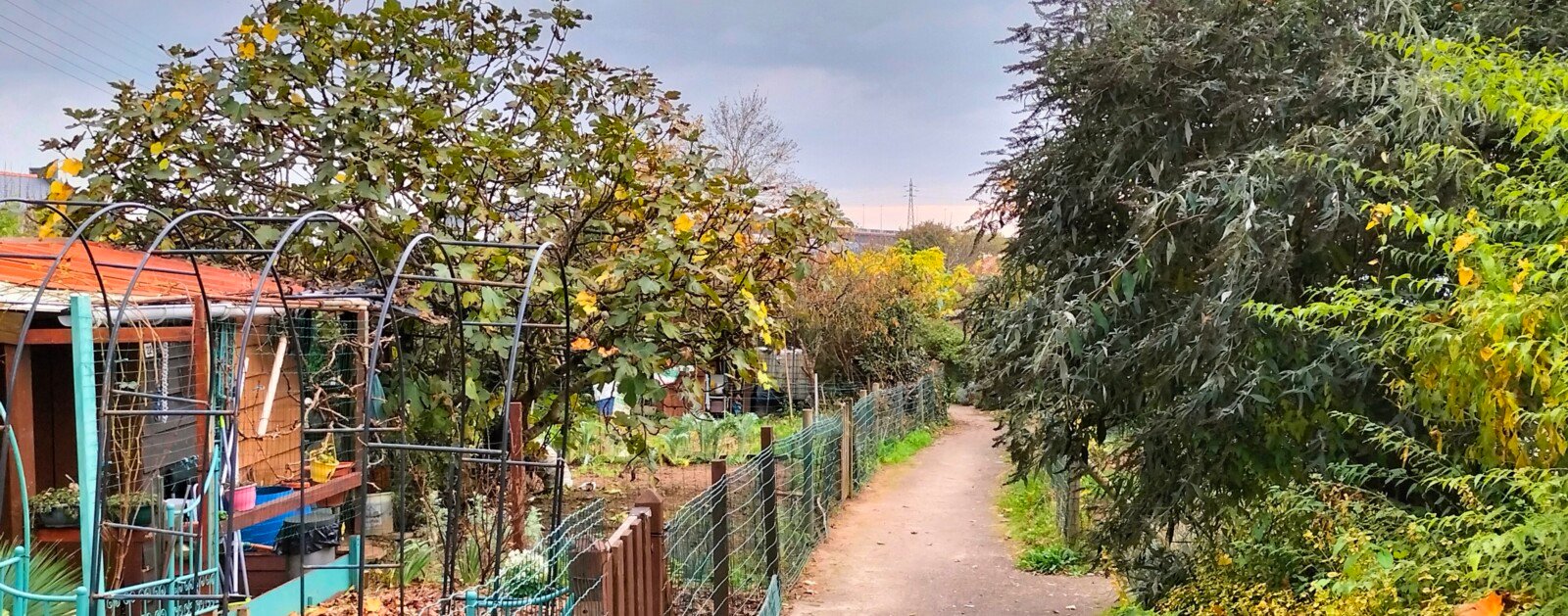Jardins familiaux à Nantes
