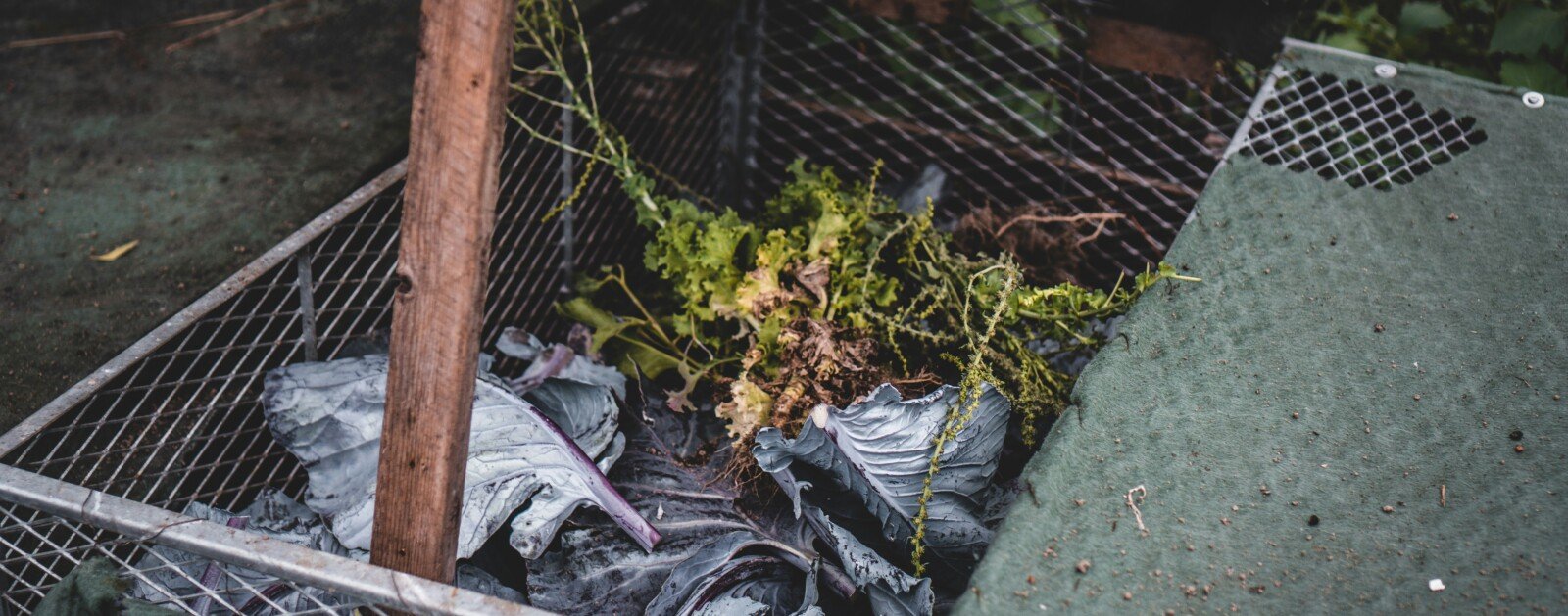 Photo d'illustration d'un composteur dans un jardin