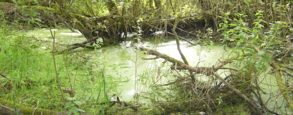 Nantes : Ronan Moinet a vécu huit jours au contact de la terre dans la Petite-Amazonie
