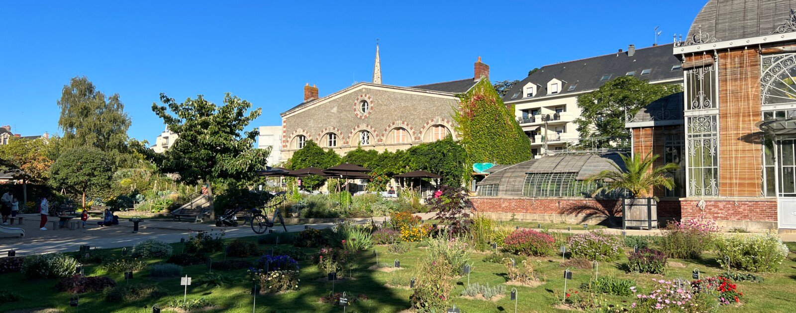 Jardin des Plantes de Nantes et ses plantations, photographie d'illustration de 2022