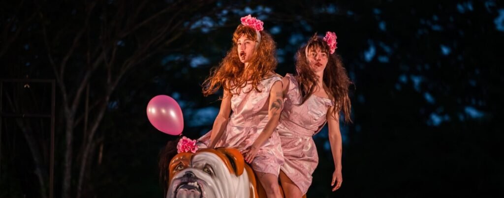 Nuit du Cirque à Saint-Herblain : quatre spectacles à découvrir à ONYX les 14 et 15 novembre