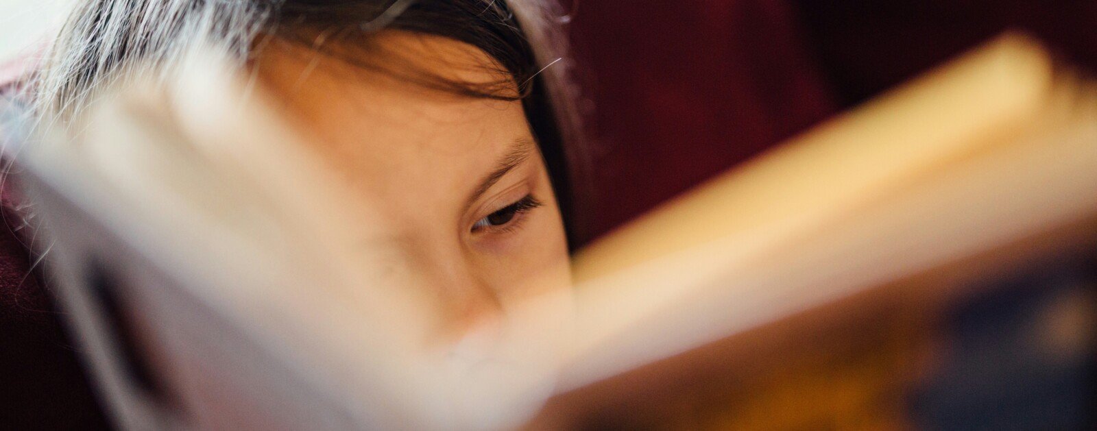Enfant en train de lire un livre illustré, photo d'illustration du festival jeunesse Lire sous les Pins
