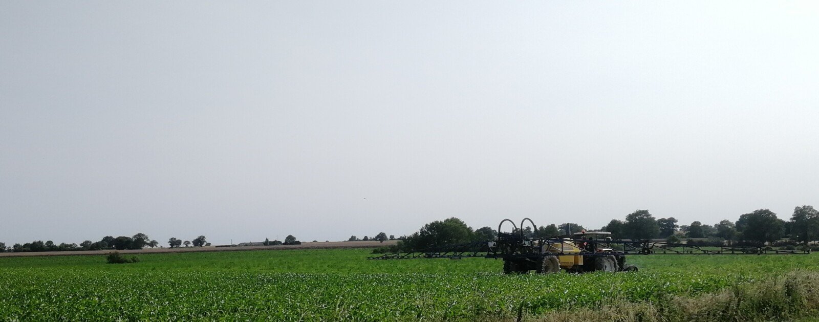 Tracteur équipé d'un pulvérisateur dans une parcelle agricole de Gironde, photo d'illustration de l'usage des pesticides