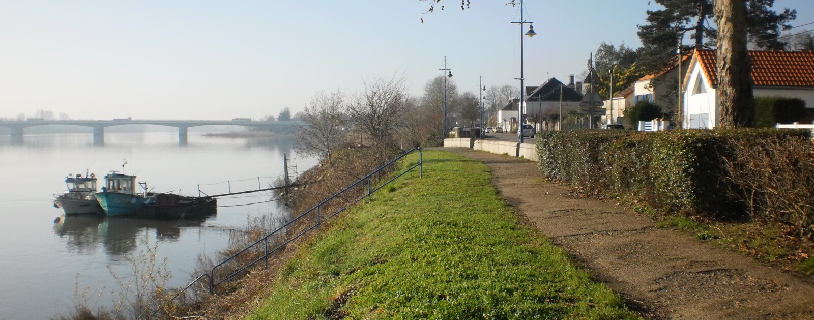 Rive de Loire à Bellevue, Sainte-Luce-sur-Loire