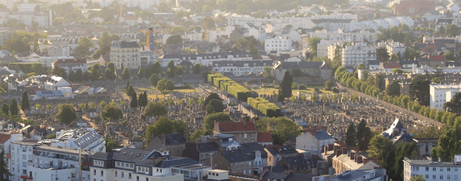 Vue réelle du cimetière Miséricorde et de ses allées arborées au coeur de Nantes
