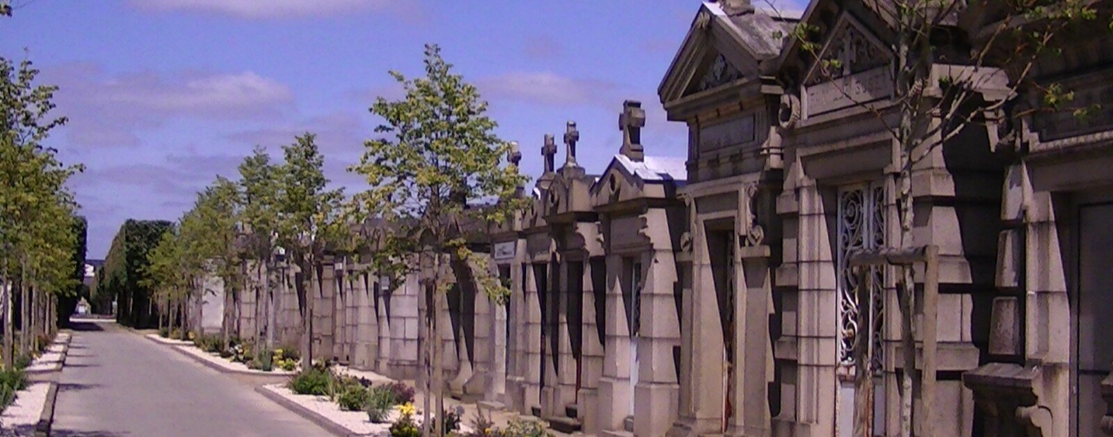 Allée arborée et tombes du cimetière Miséricorde à Nantes, photographie réelle du site