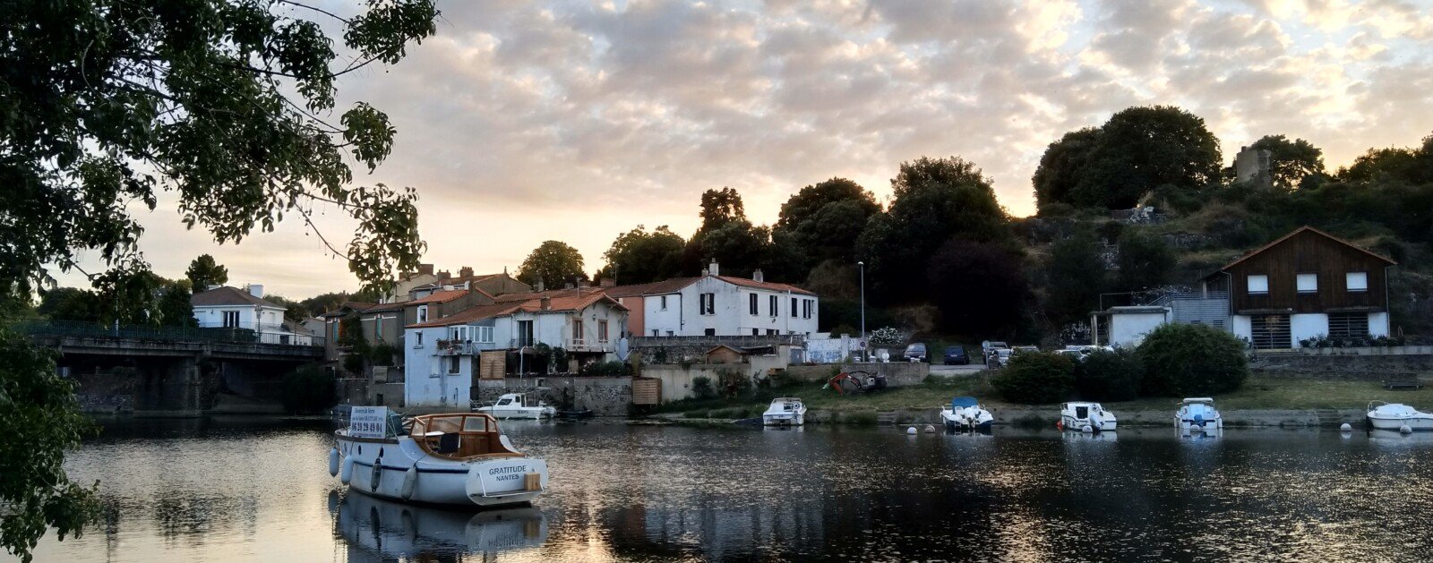 Paysage arboré le long de la Sèvre nantaise à Vertou, photographie d'illustration sans lien avec les œuvres de Rycho