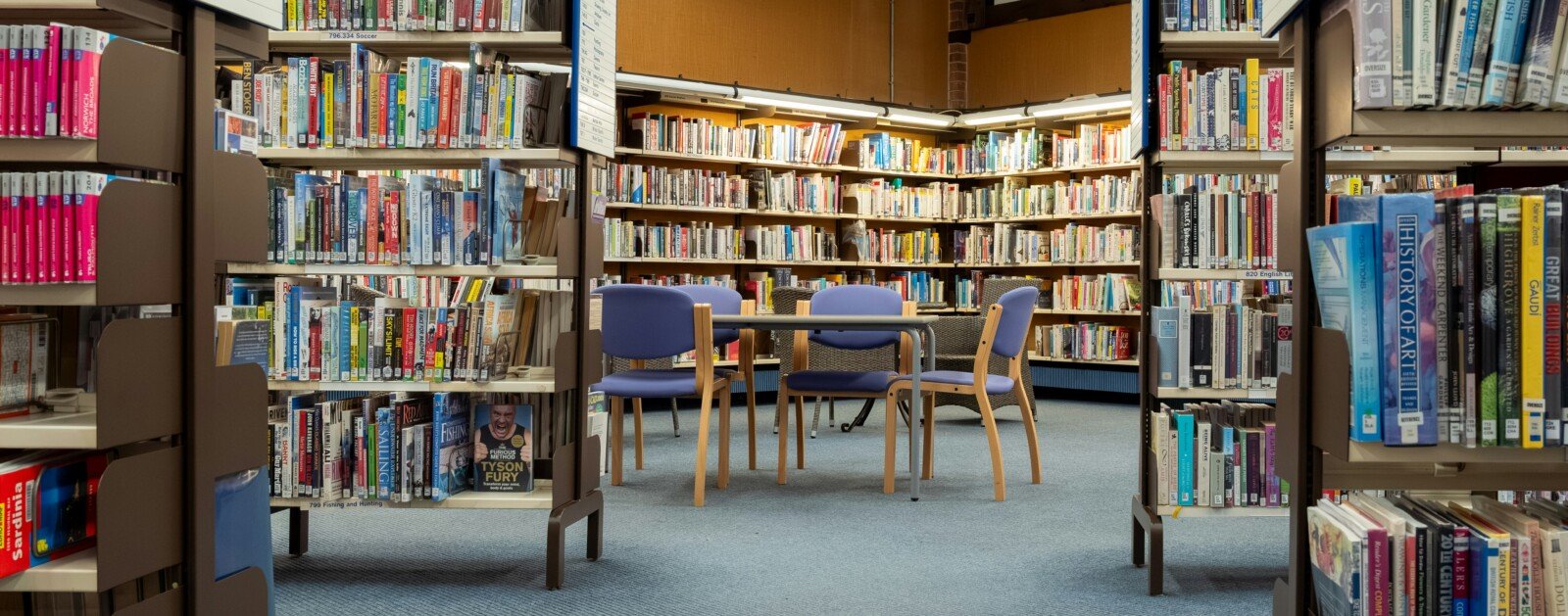 Bibliothèque et espace de lecture, photographie d'illustration d'une médiathèque
